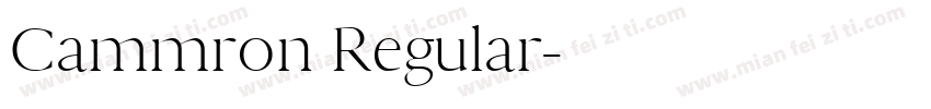 Cammron Regular字体转换